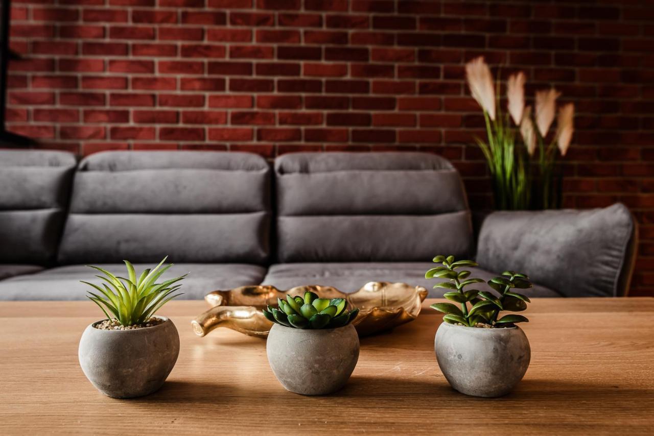 Loft Apartament Aleje Wolnosci Nowy Sącz Eksteriør billede